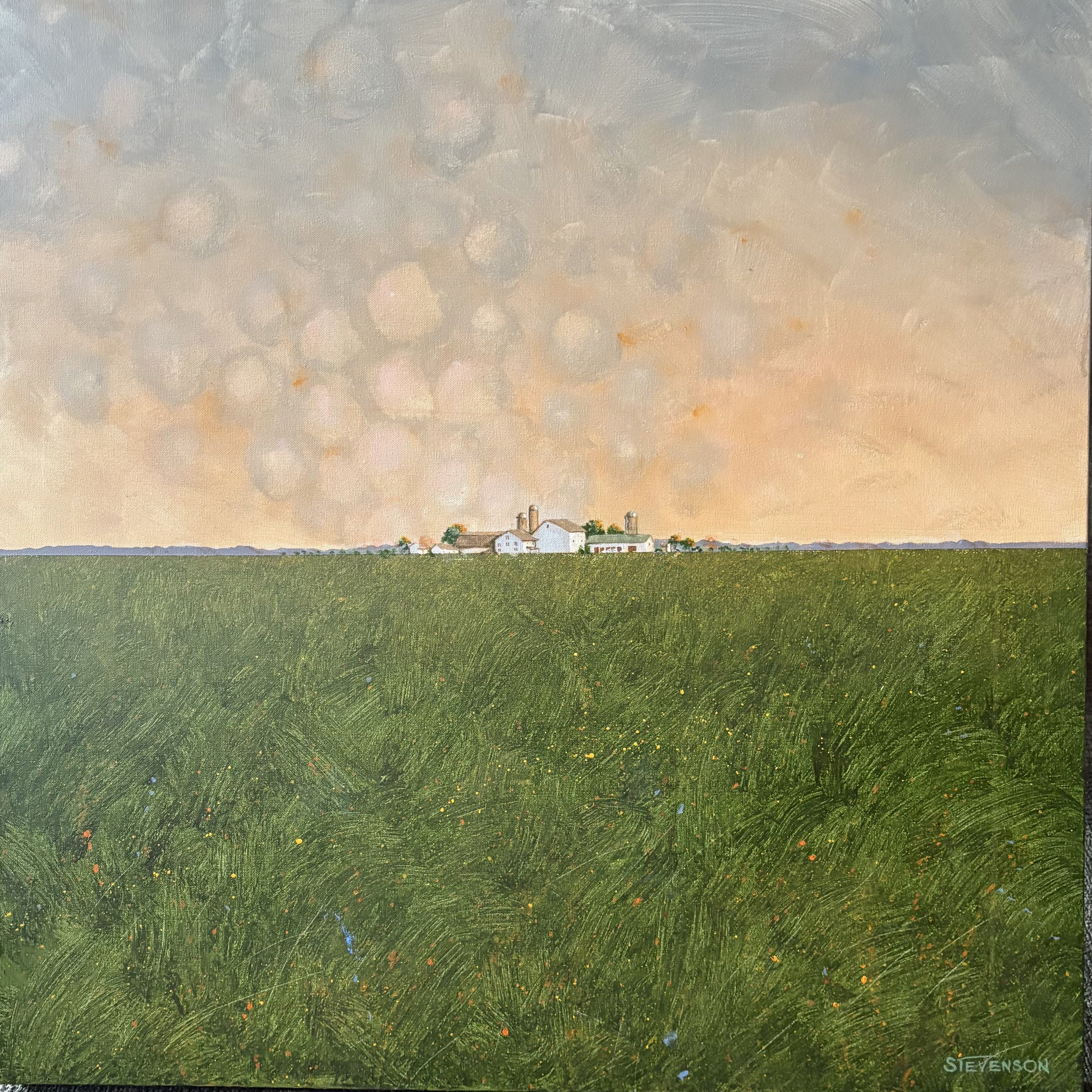  Biospheres: # 58 - 36 x 36. Acrylic on canvas   $3,000.
