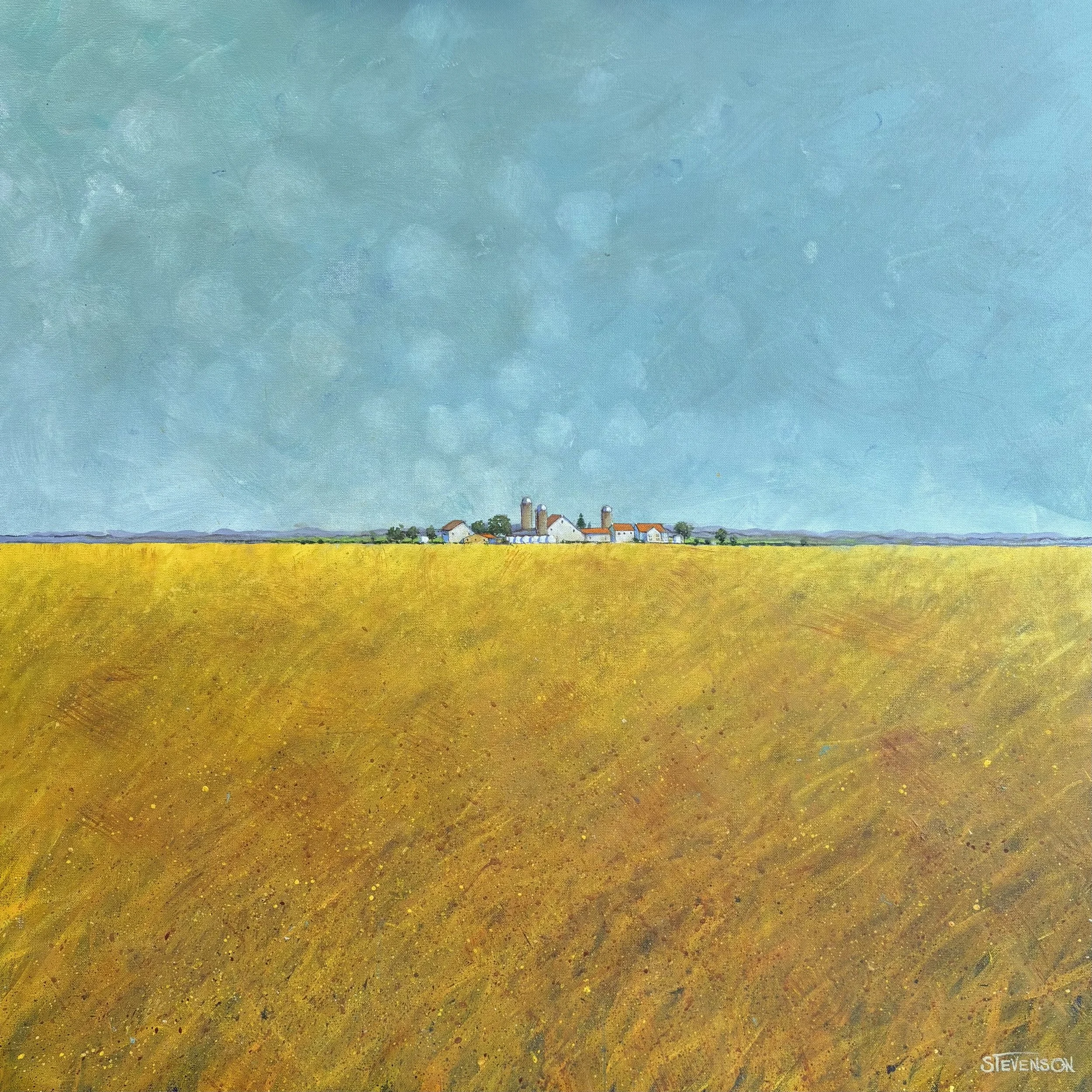 Biospheres: 36” x 36”:  #59