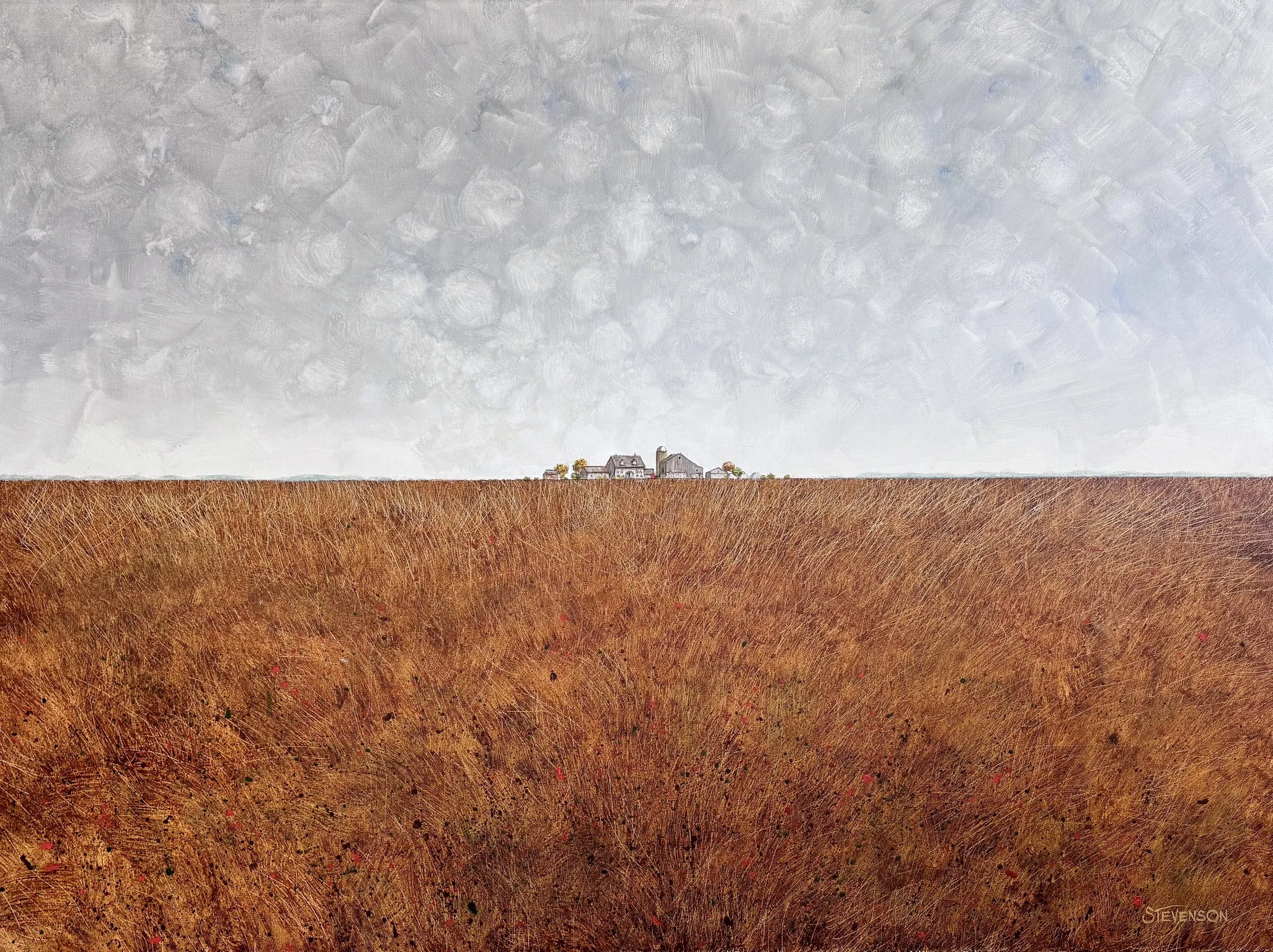 Biospheres: # 61 - 48” x  36” horizontal  [SOLD]