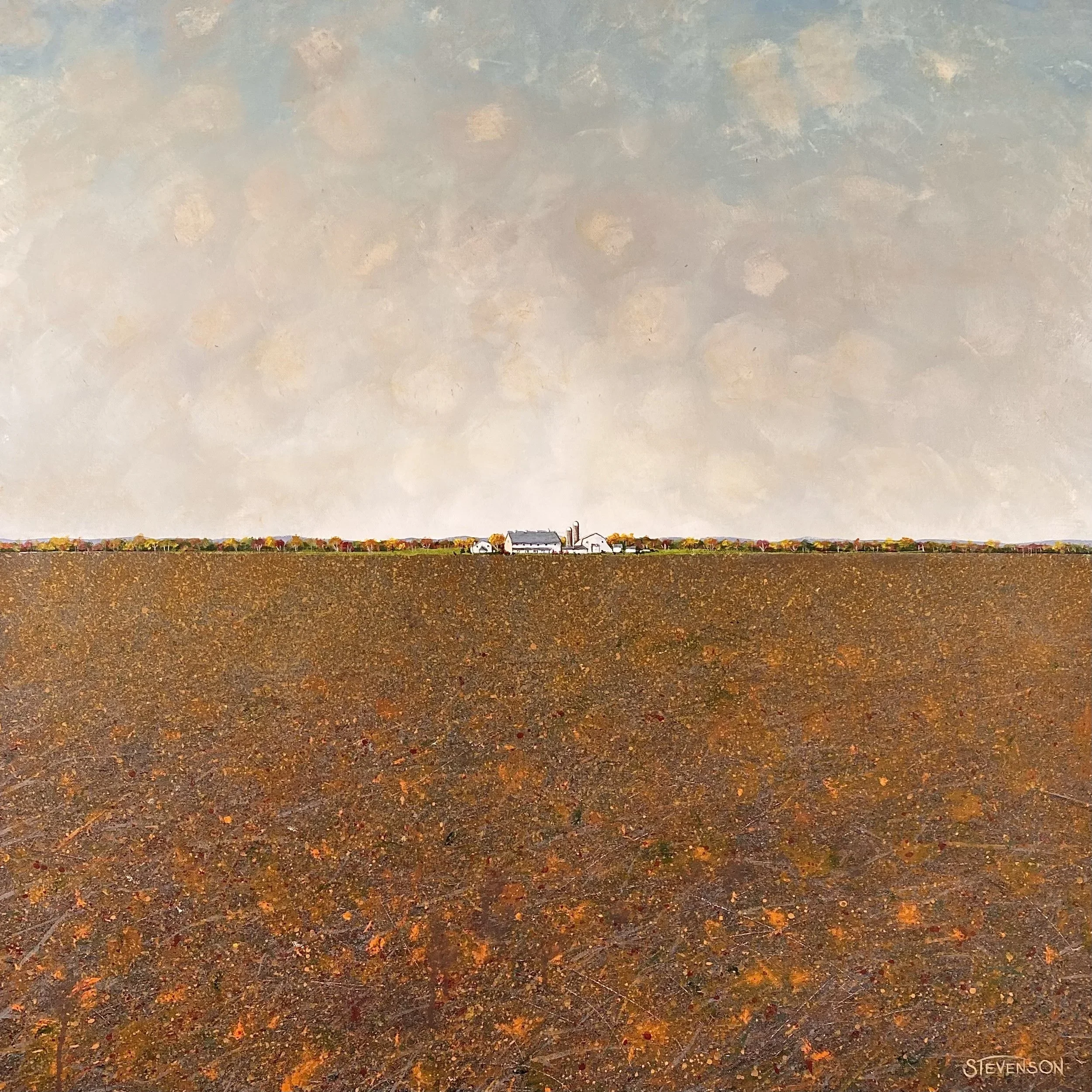 Biospheres # 63: 24” x 24”