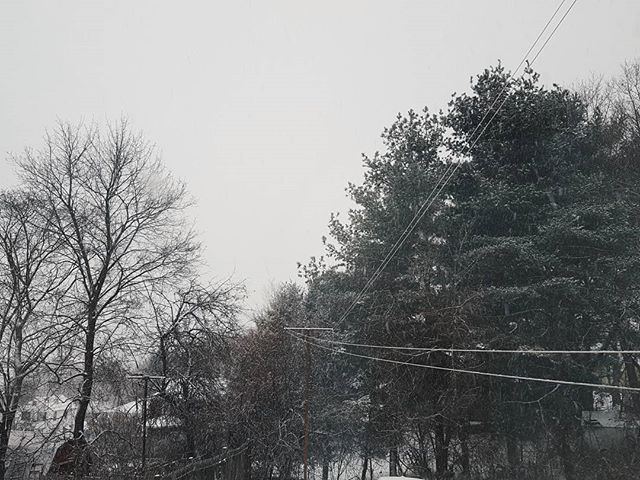 Snow, snow, snow. Hubby loves it. I'm not so sure. It is pretty tho 🤷&zwj;♀️ #pleasesendsunshine #andwarmth