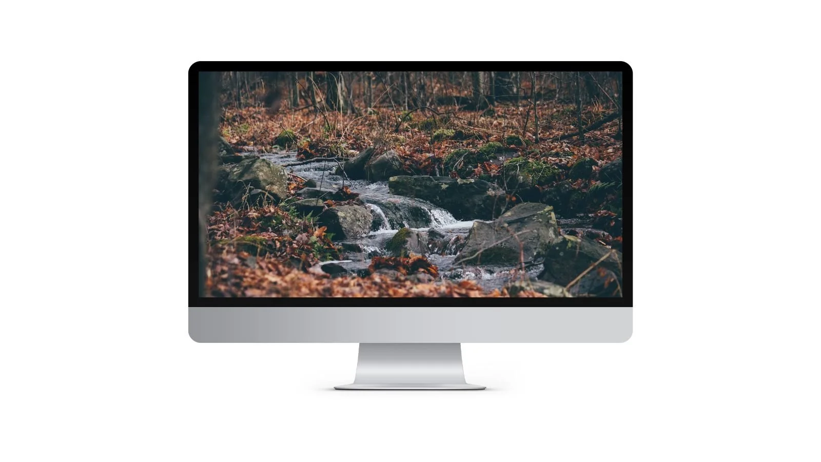 fall rivulet on computer.jpg