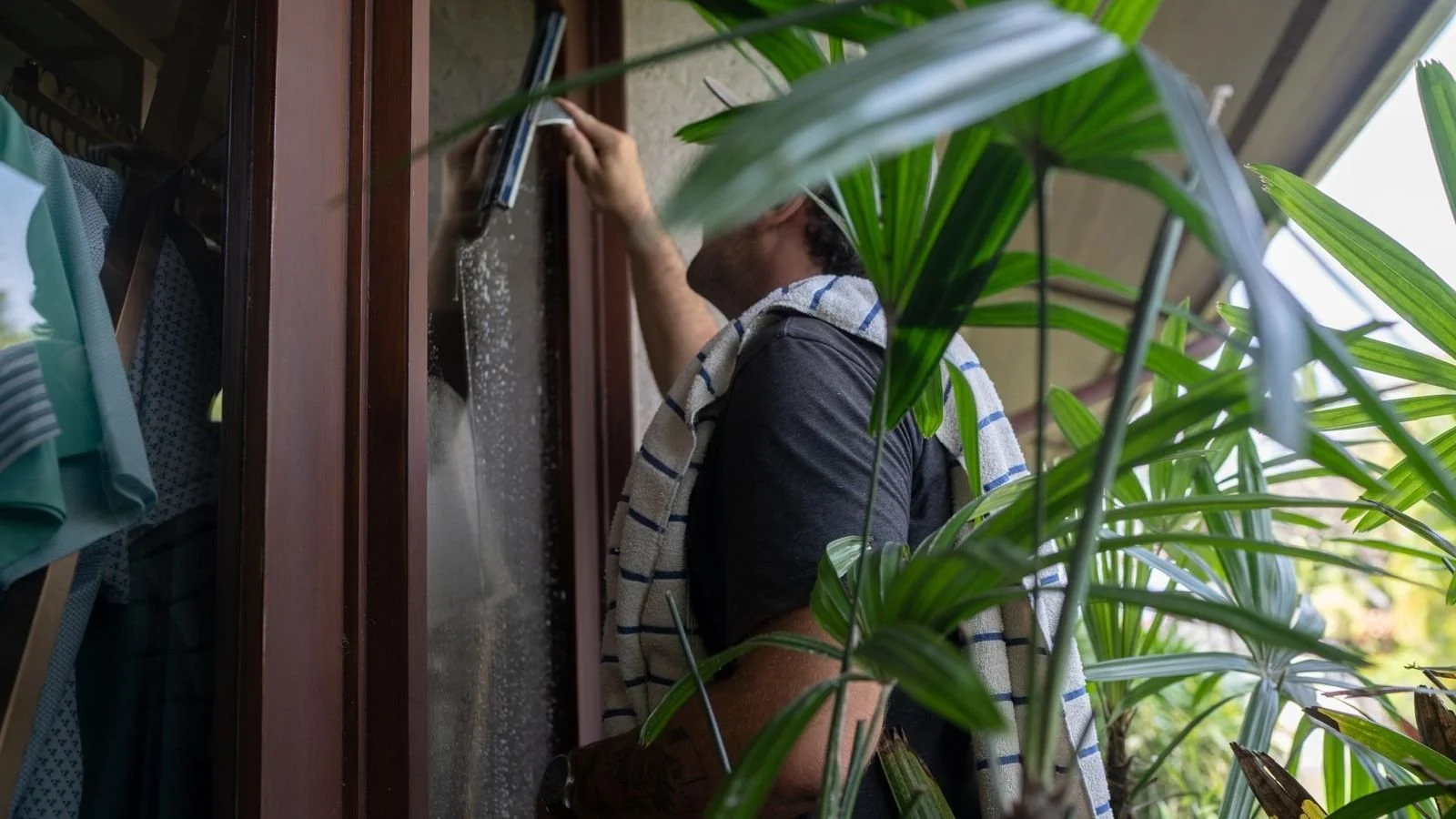 Window cleaner squeegeeing a window behind tropical plants in Paia, Maui