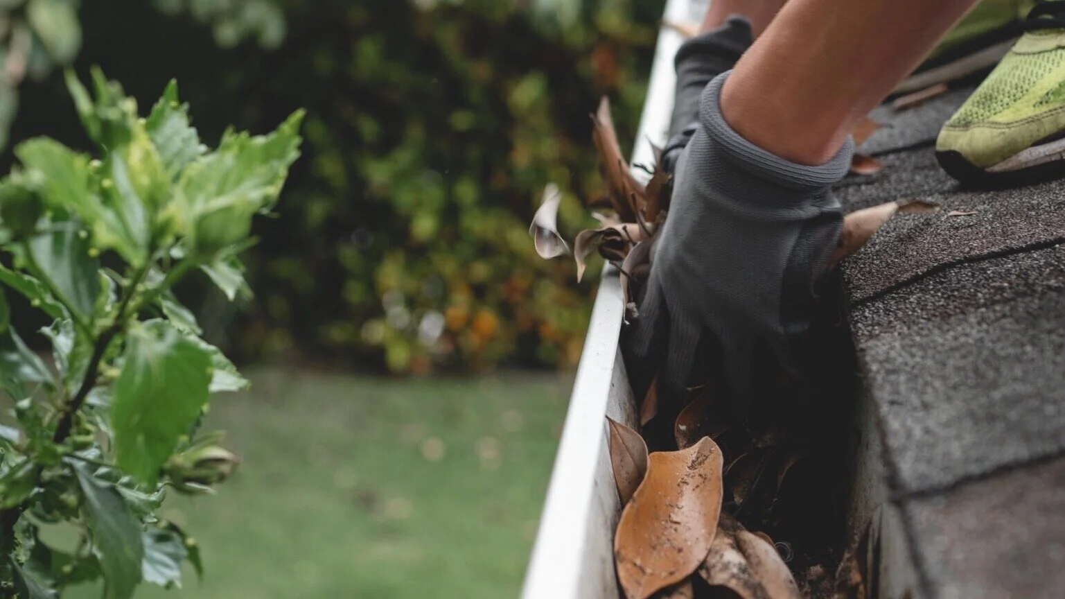 Gloved hand scooping dry leaves out of a roof gutter