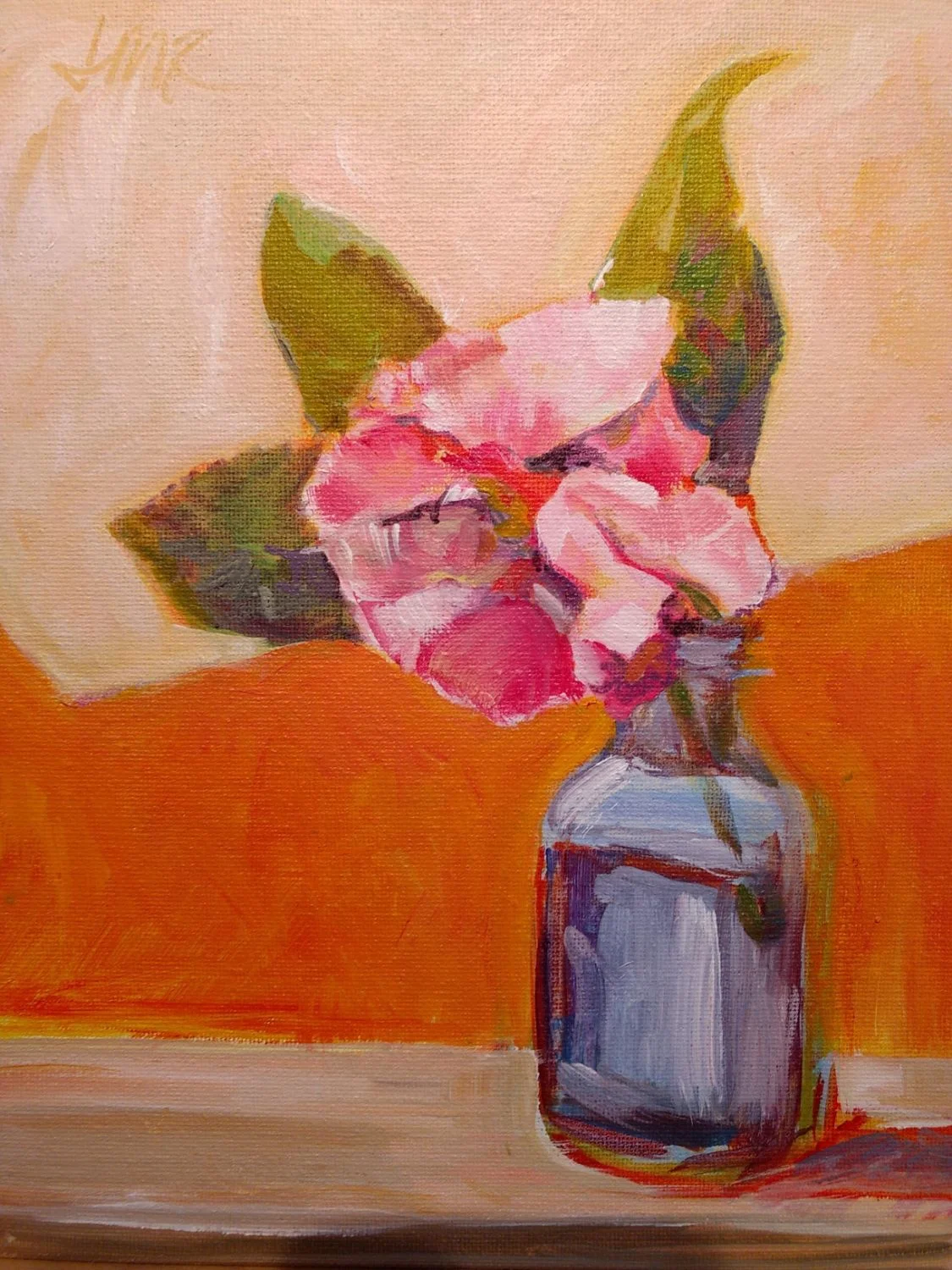 Camellia