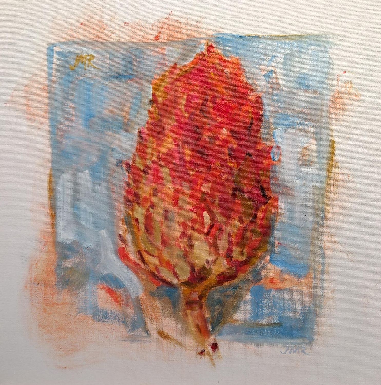 Magnolia Seed Pod