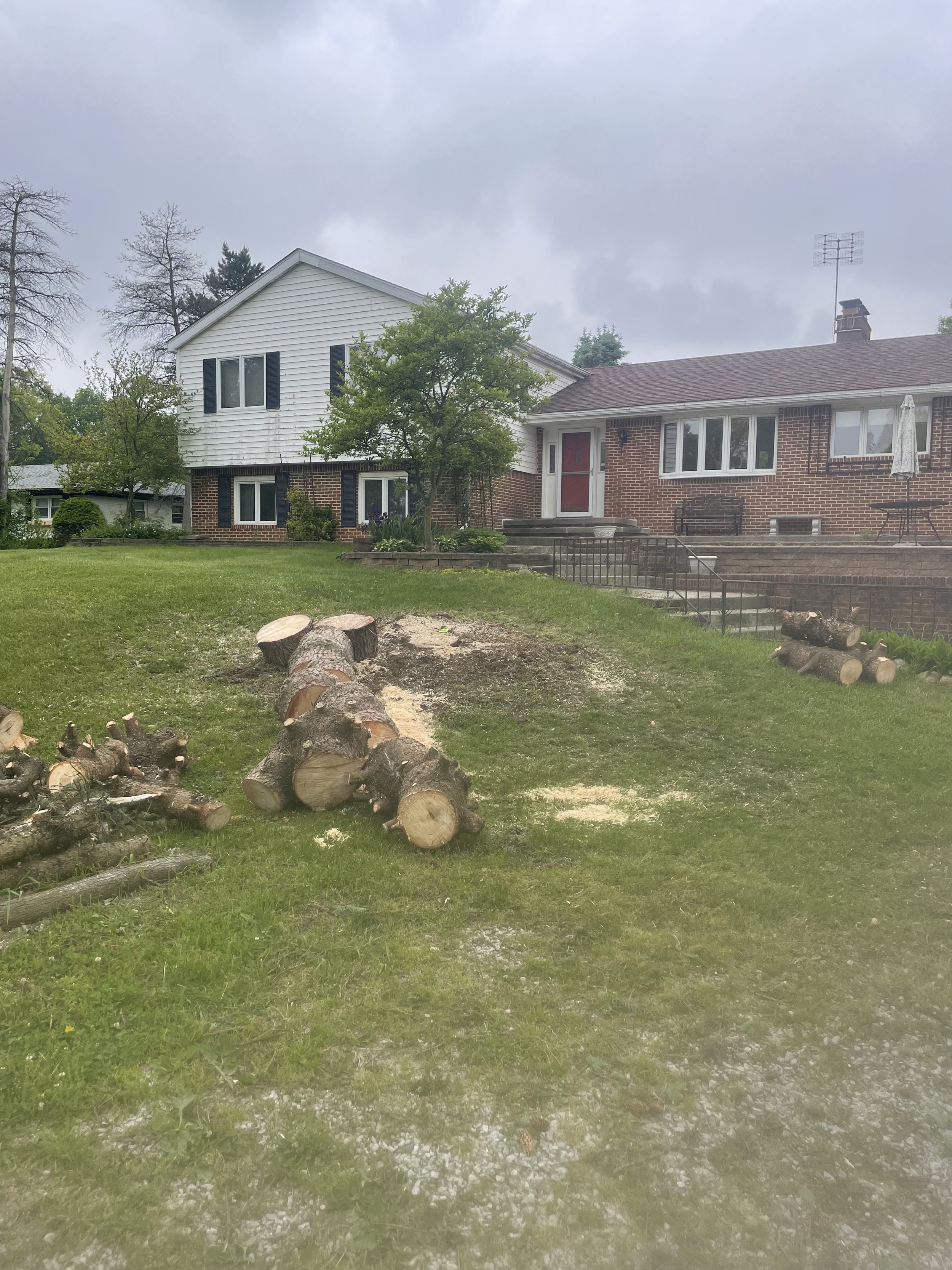 Front spruce removal after.jpeg