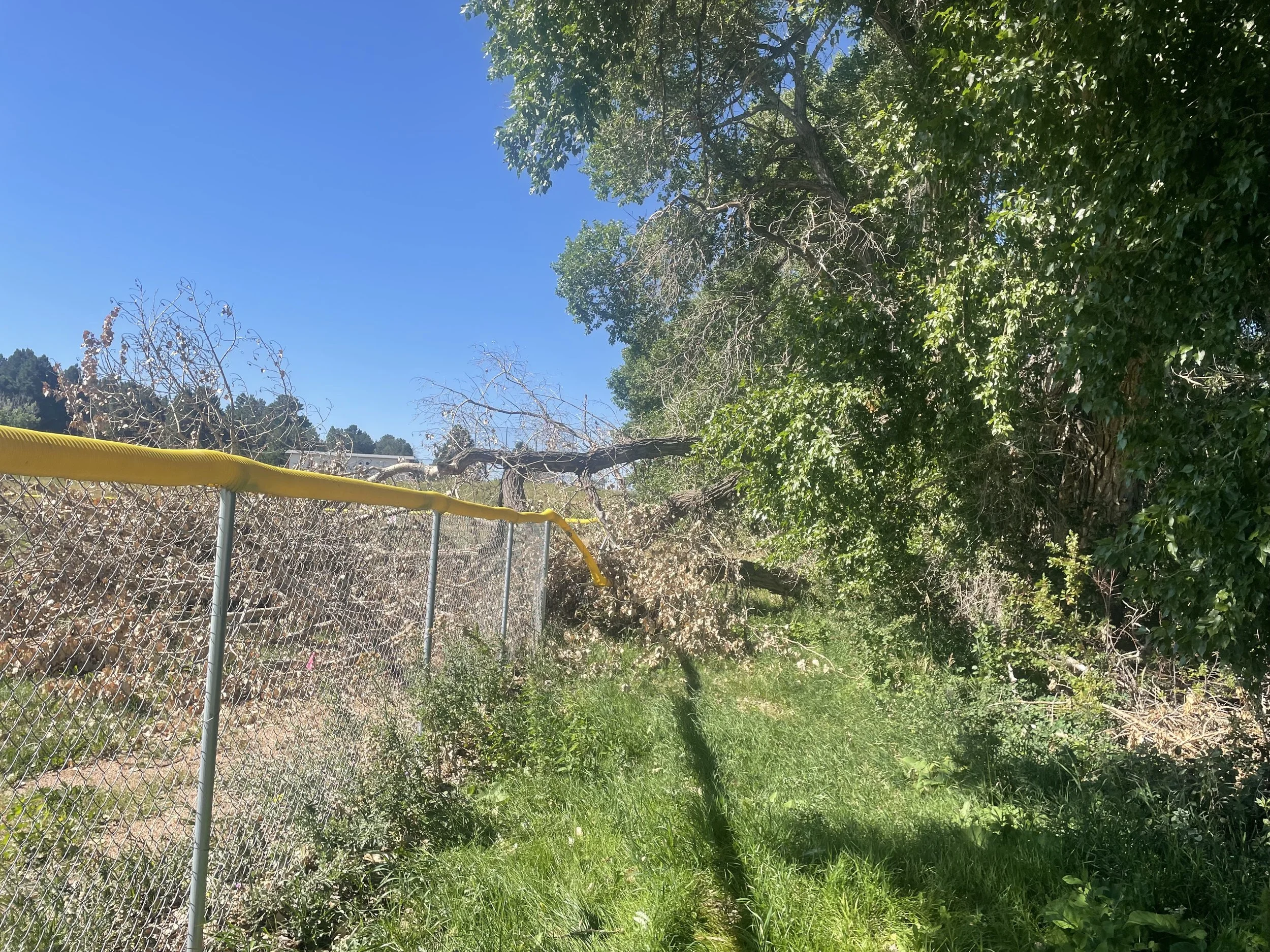 ESD Cottonwood storm before 2.jpeg