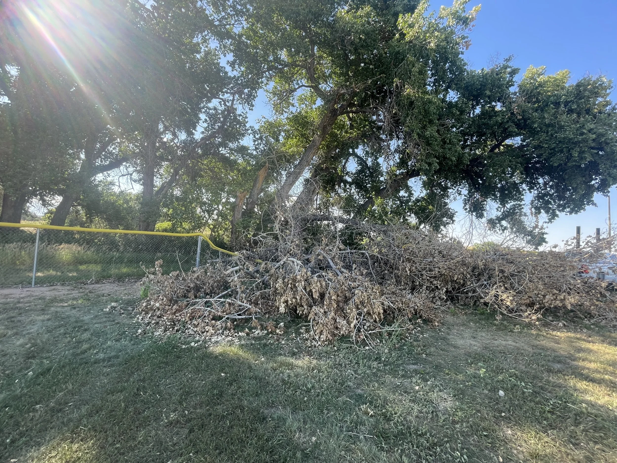 ESD Cottonwood storm before.jpeg