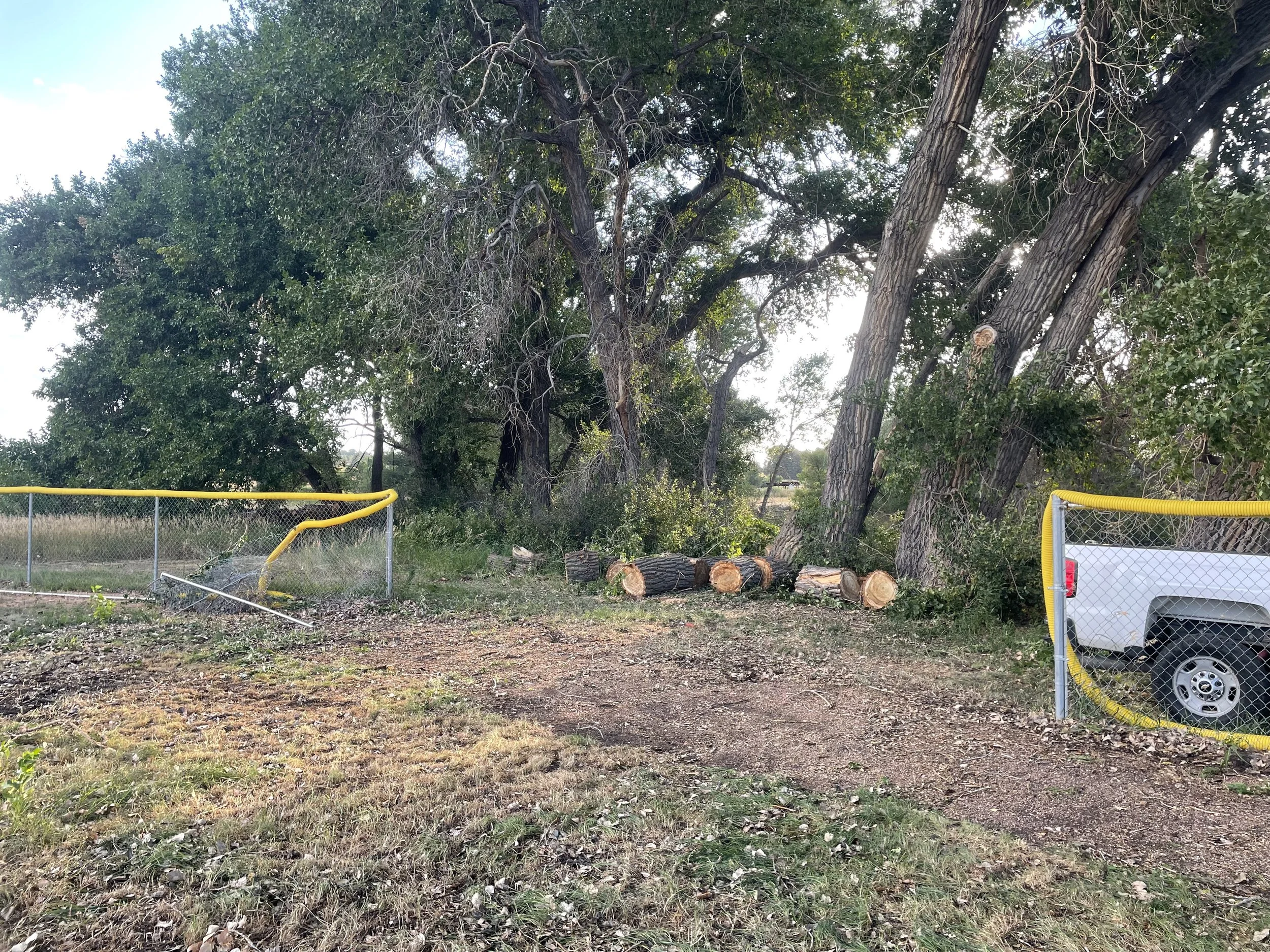 ESD Cottonwood storm during 3.jpeg