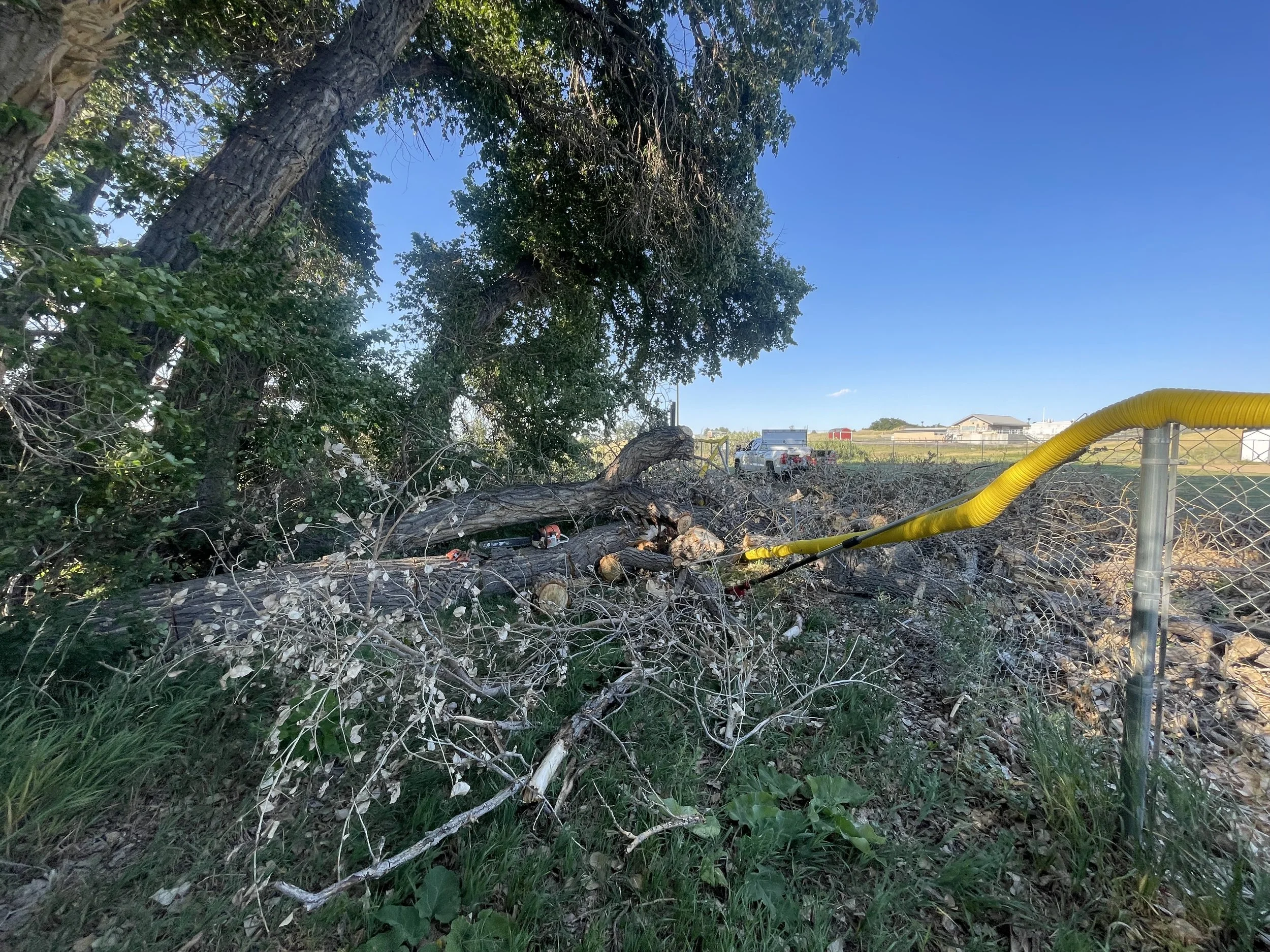 ESD Cottonwood storm during.jpeg