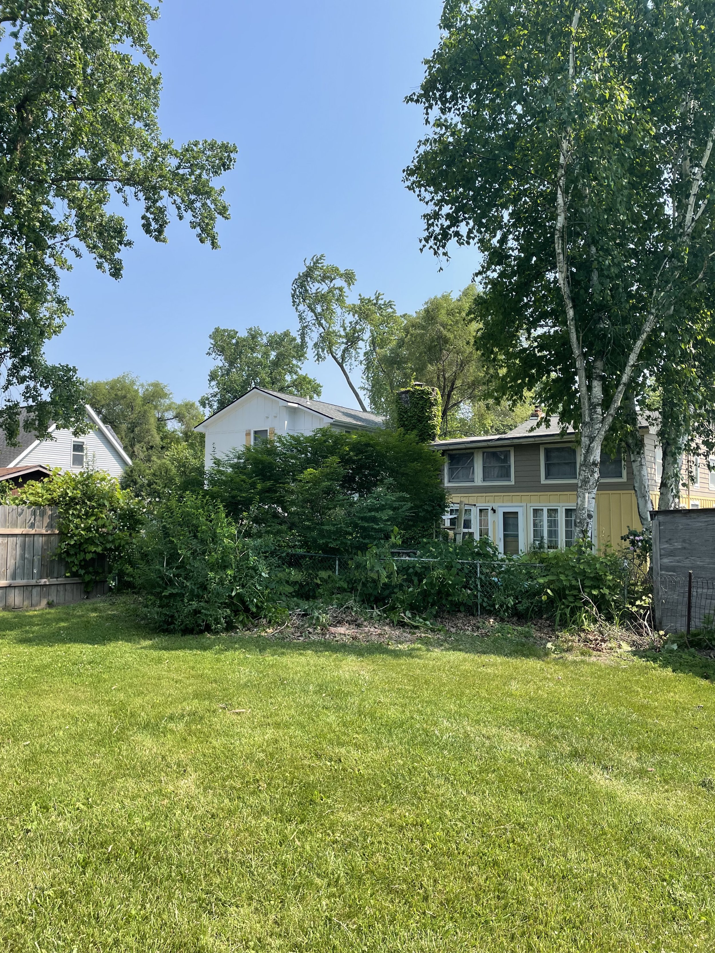 Cedar removal after.jpeg