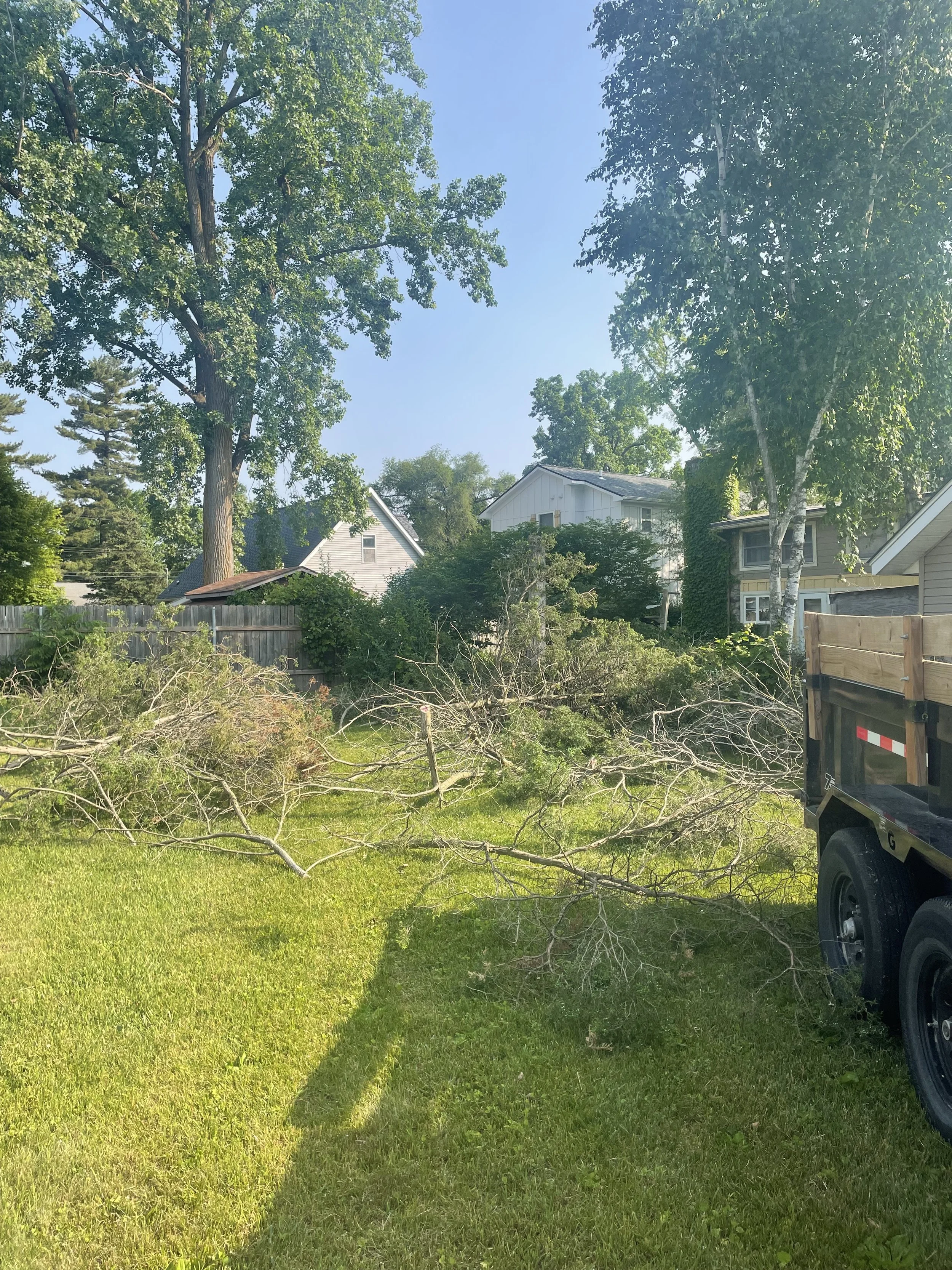 Cedar removal during.jpeg