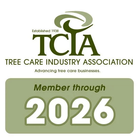 MEM Color - 2026.jpg