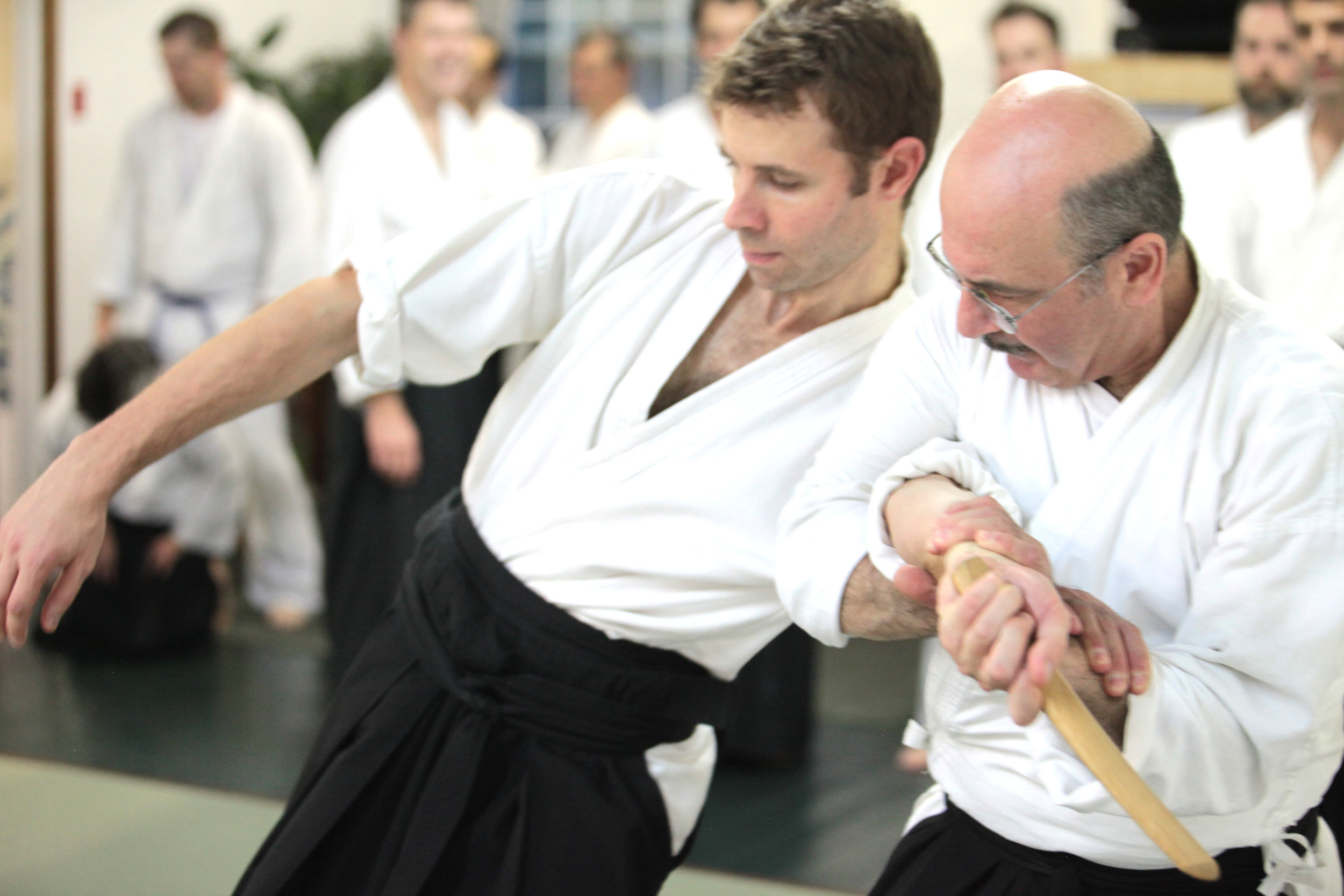 Jikishinkan_Aikido_Classes_5.jpg