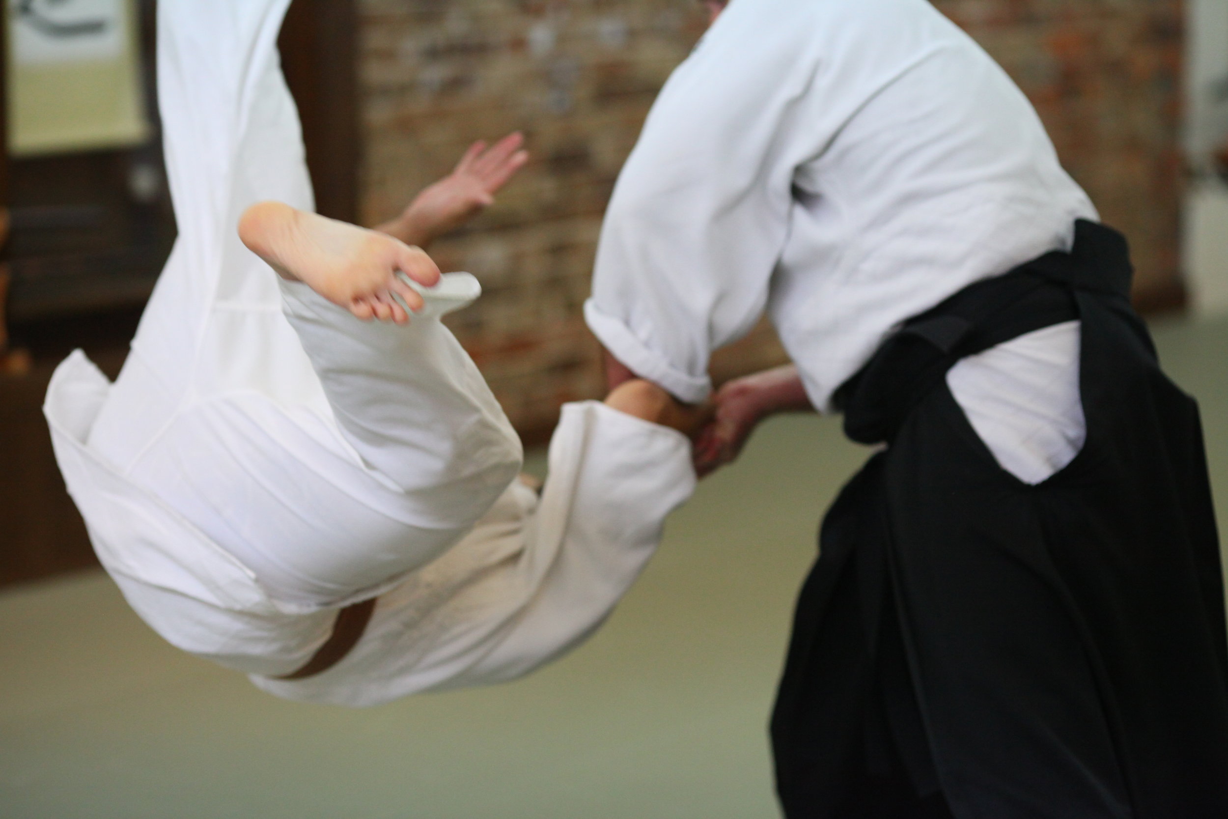 Jikishinkan_Aikido_Classes_28.jpg