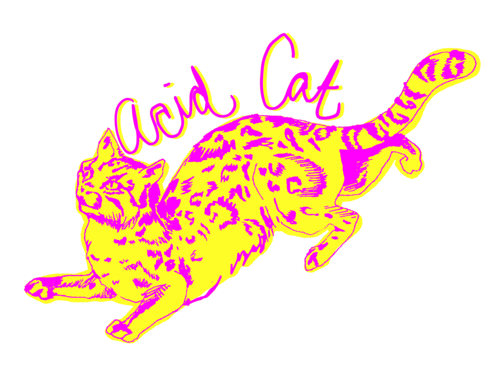 Acid Cat