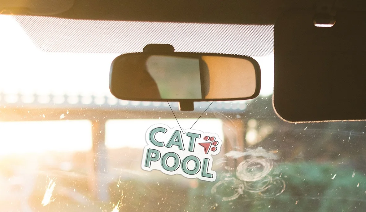 Catpool-Mirror-Hanger.jpg