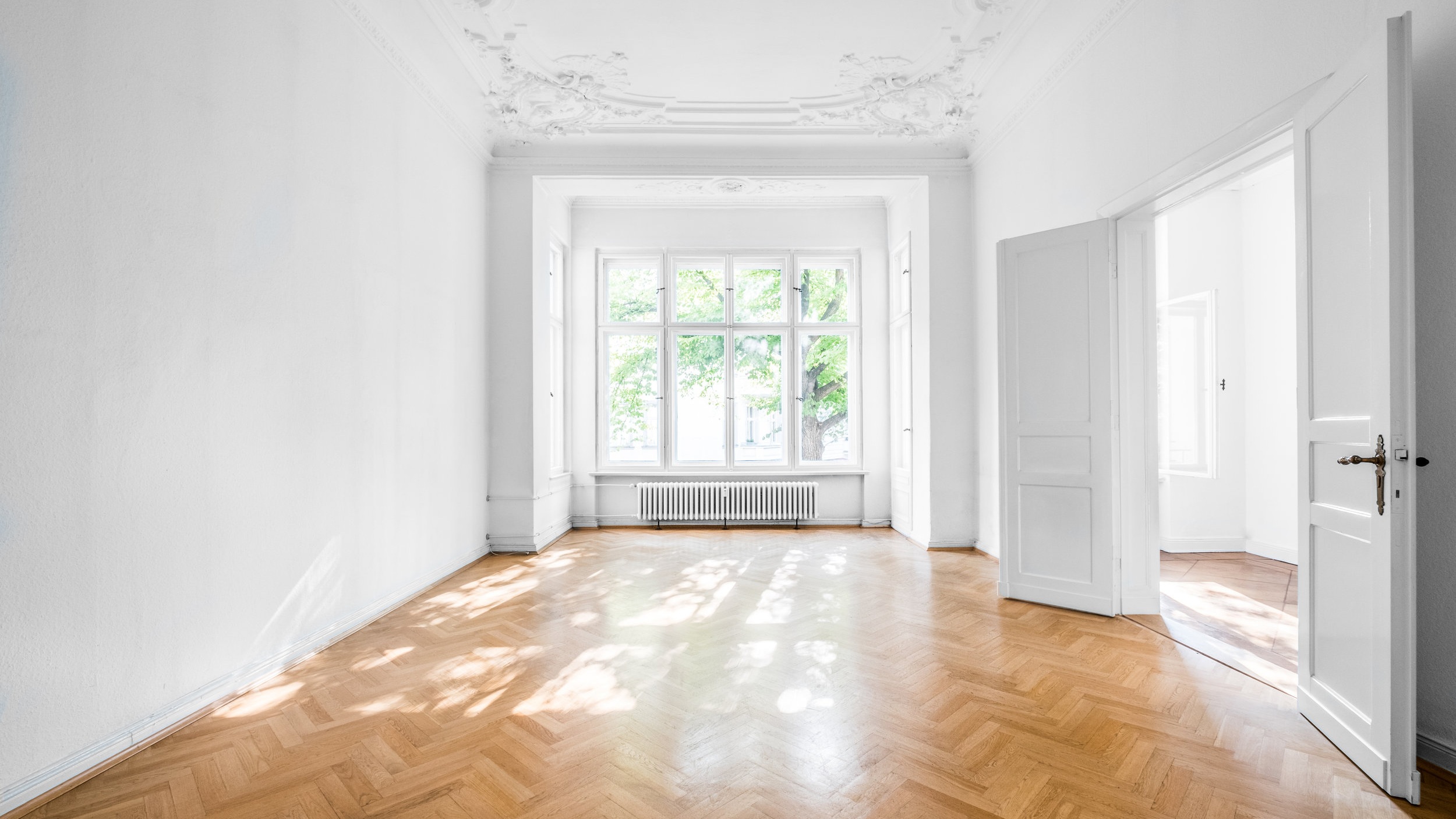 AdobeStock_219420840.jpg