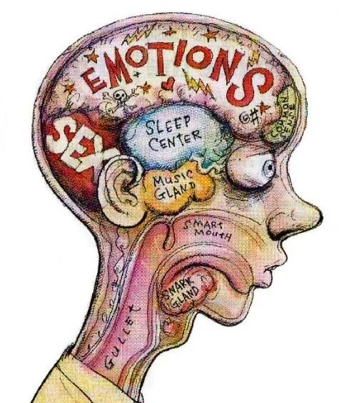 Mindfulness and the Teenage Brain