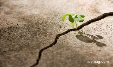 The Real Test of Character – Adversity or Power?