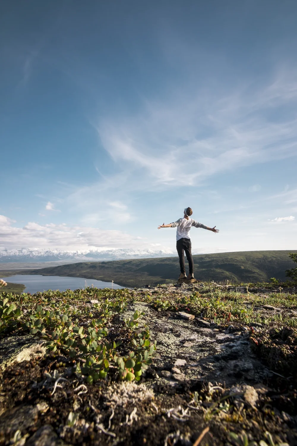 MentalFlow What Are The Roots Of Your Self Esteem 