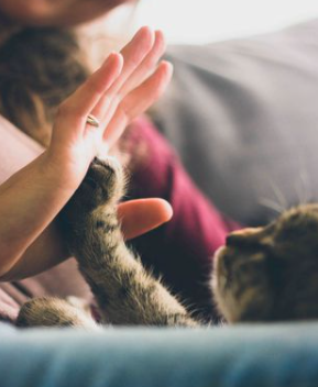 The Importance of Kindness 