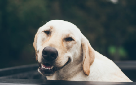 10 Ways to Avoid Disappointment in 2021