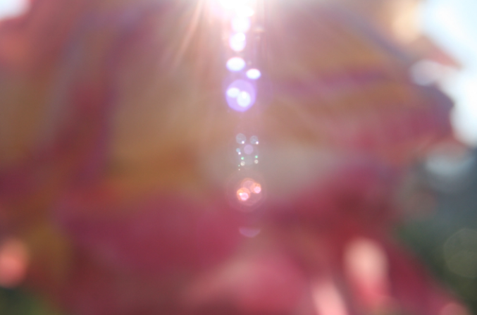 The Secret to Happiness 