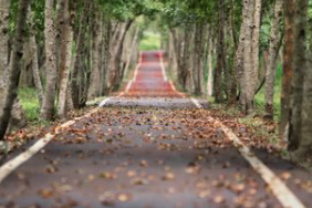 The Benefits of Delaying Gratification