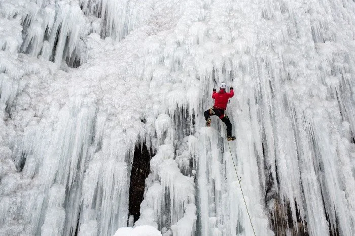 Hard Work Is the Key to True Happiness