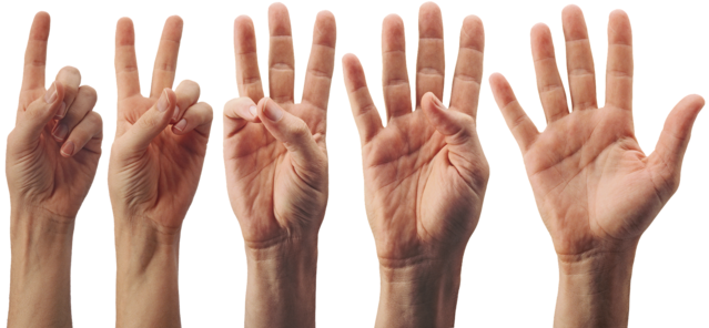 How Did We End Up With 5 Big Factors of Personality?