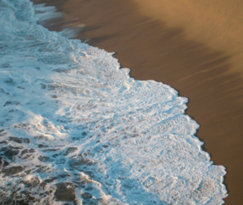 What Is the Opposite of Loneliness? 