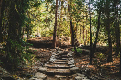 On the Trail of Kindness 