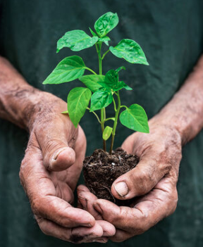 What Makes Life Meaningful?