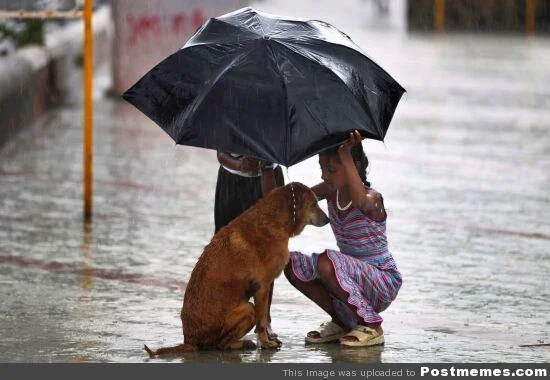 Generosity, Success and Their Secret Connection 