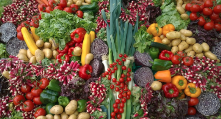 Your Brain on a Mediterranean Diet 