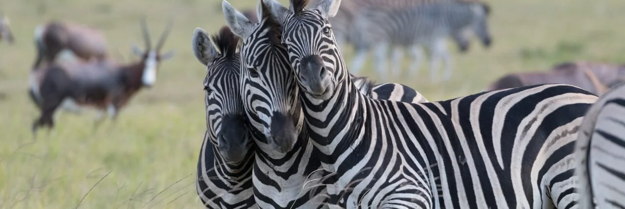 Relationships: Why They’re So Important