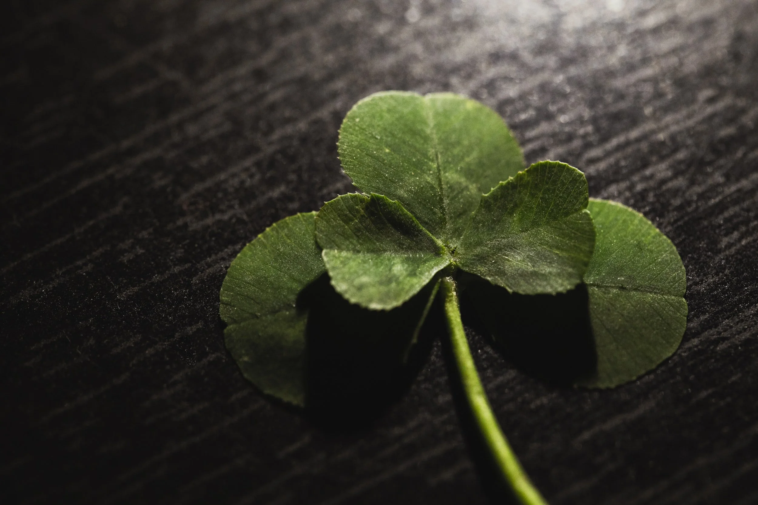 Are You a Lucky Person?