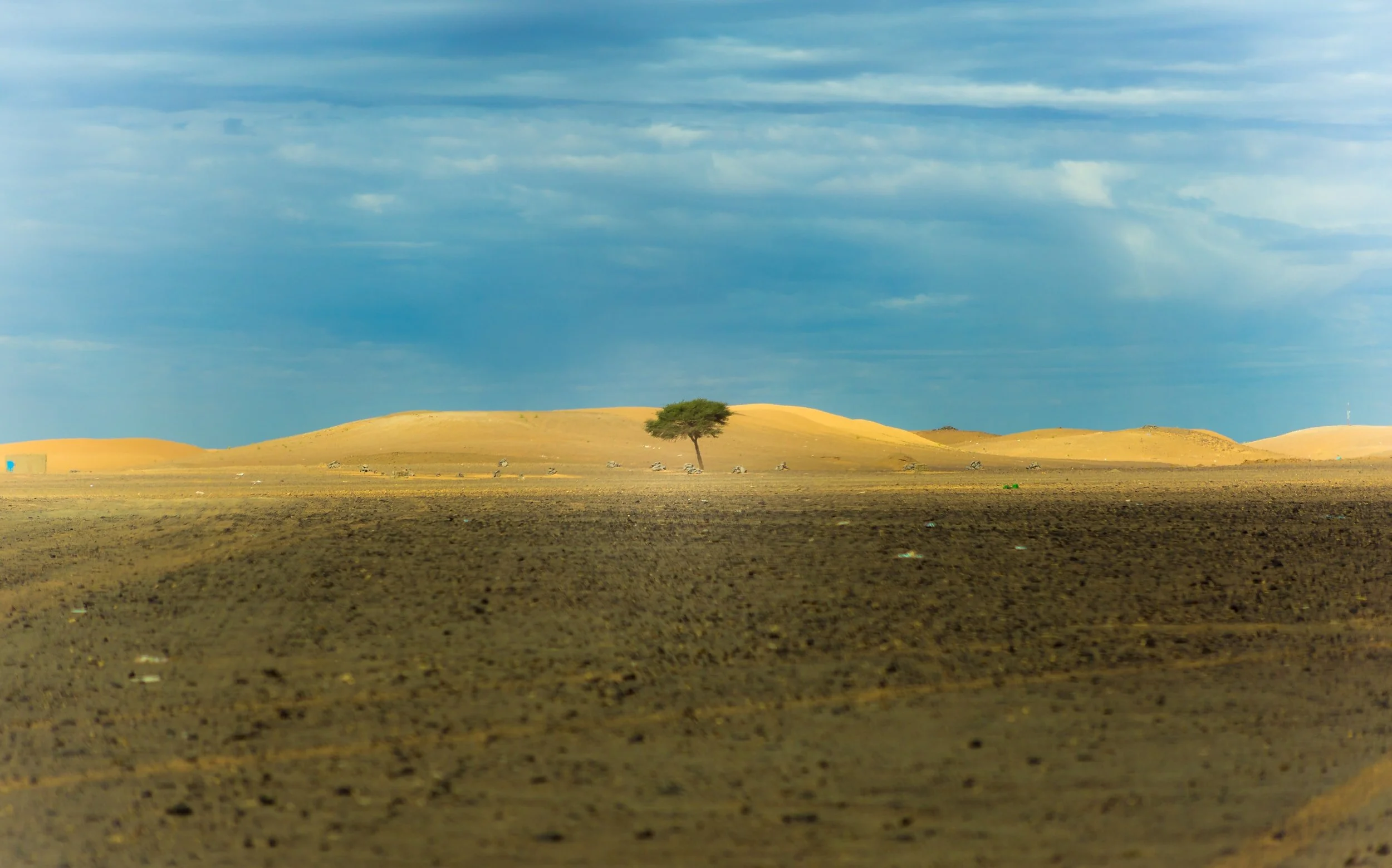Resilience: How Are We Doing? 