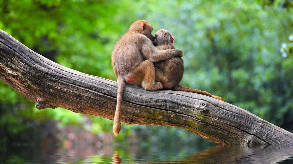 How to Use Kindness to Deal With Difficult, Negative People 