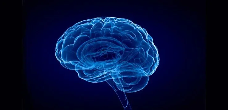 How the Brain Can Change Your Experience of Pain