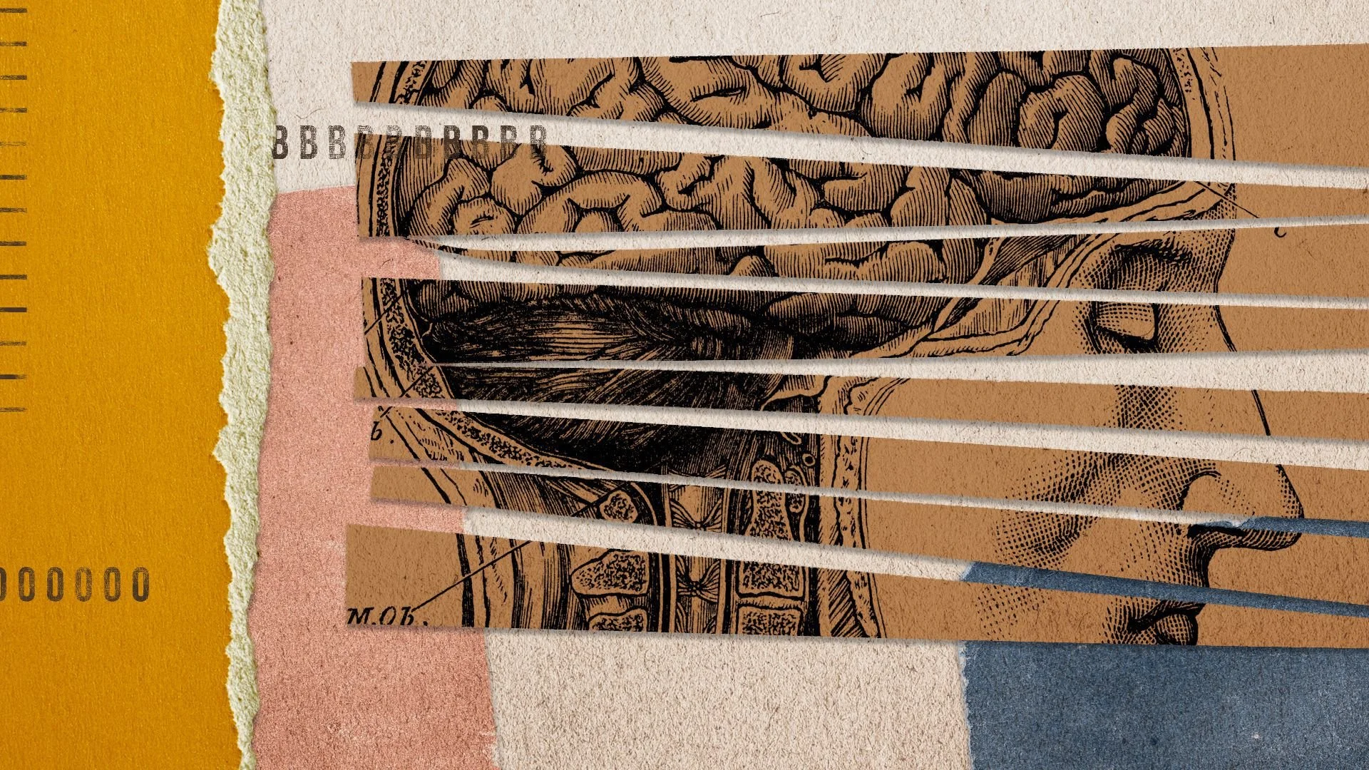 America's shadow epidemic