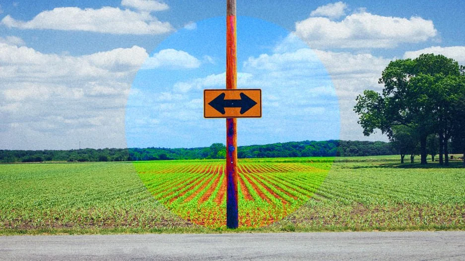 This simple question will help you make better decisions