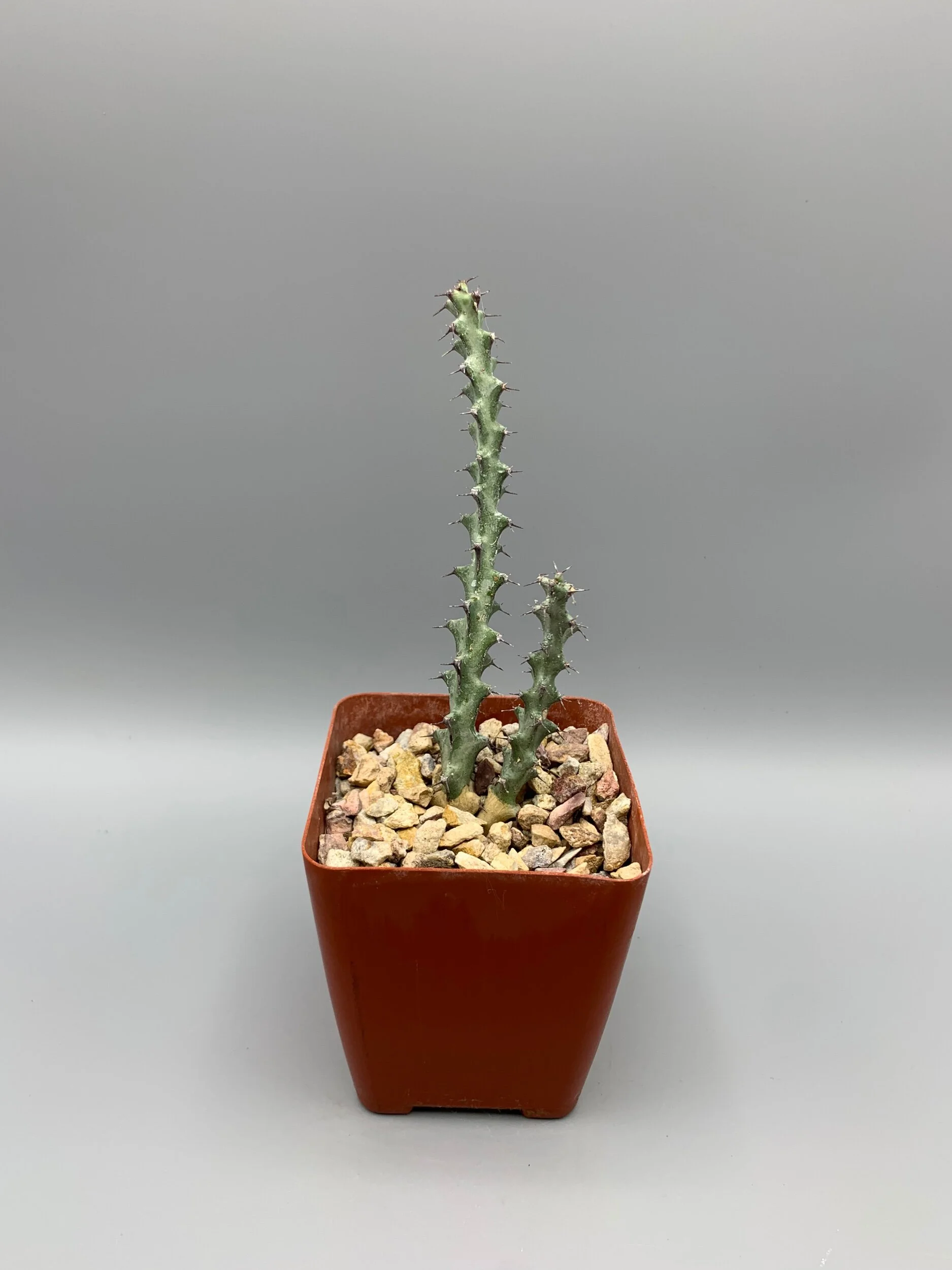 DB6689BA-9635-40E4-BCEE-B344602D1F89