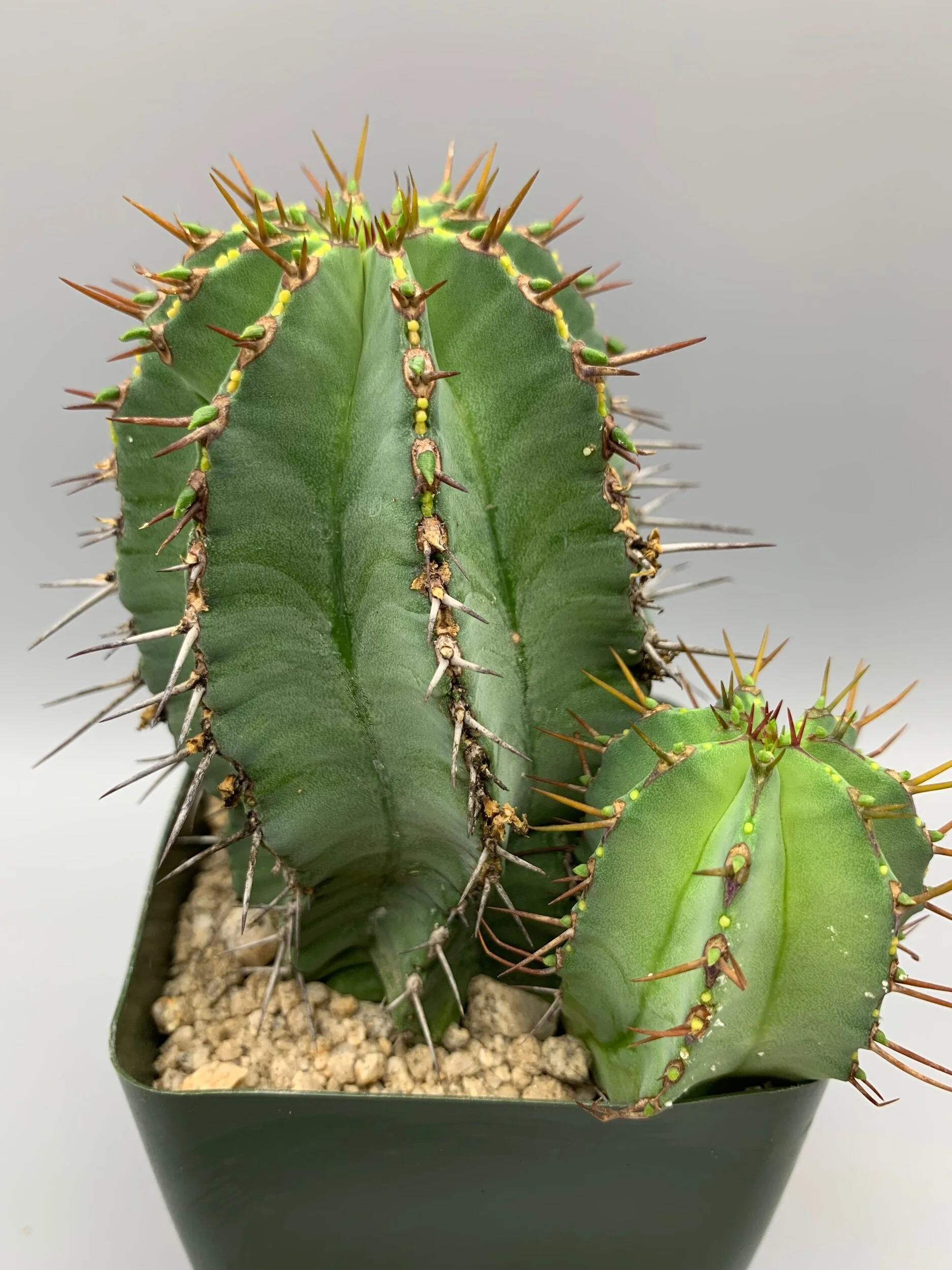 DEE30096-92EE-4541-968D-8ABBDF868434