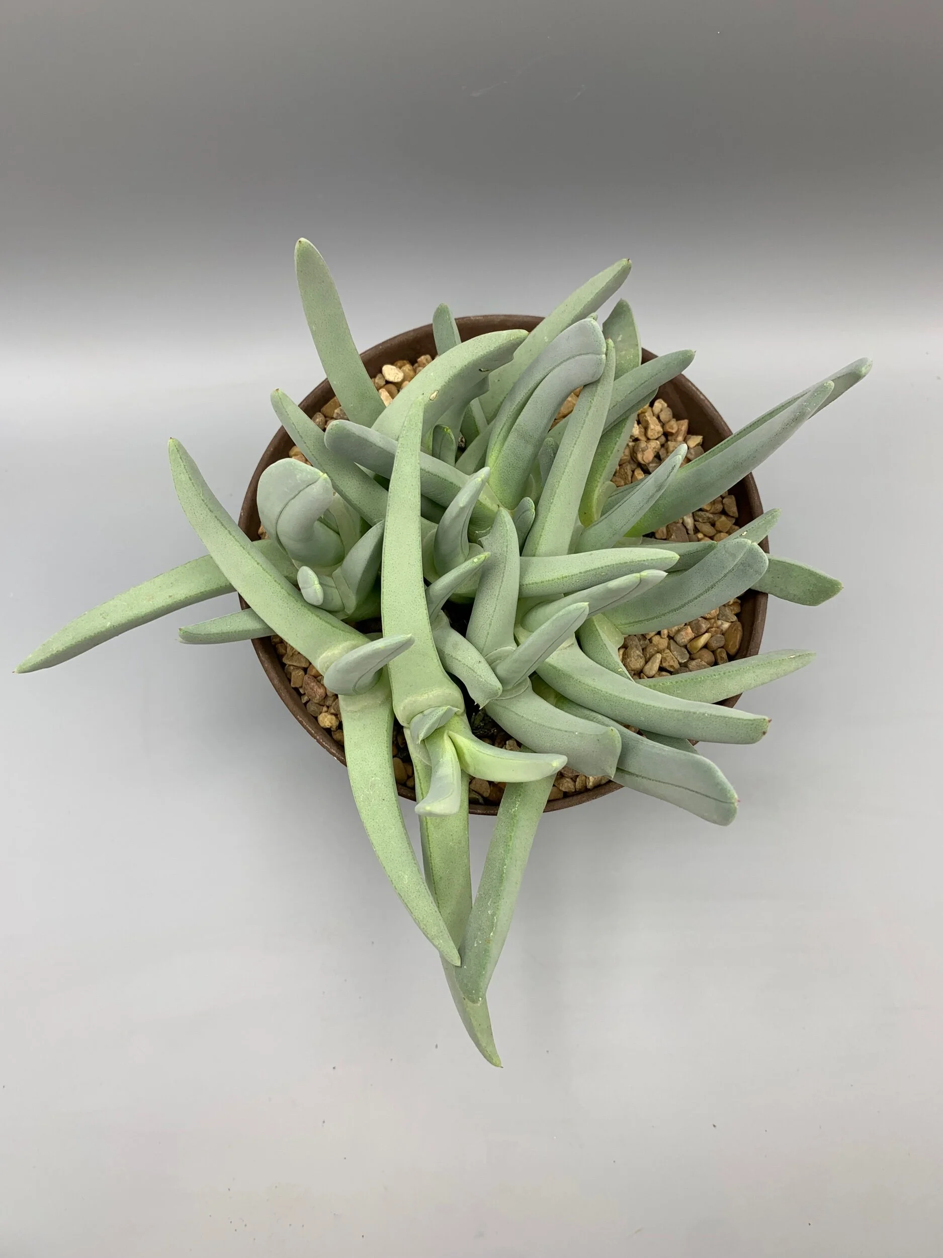 A7A90B5B-45D5-4F23-A006-7BFDCAACEFDF