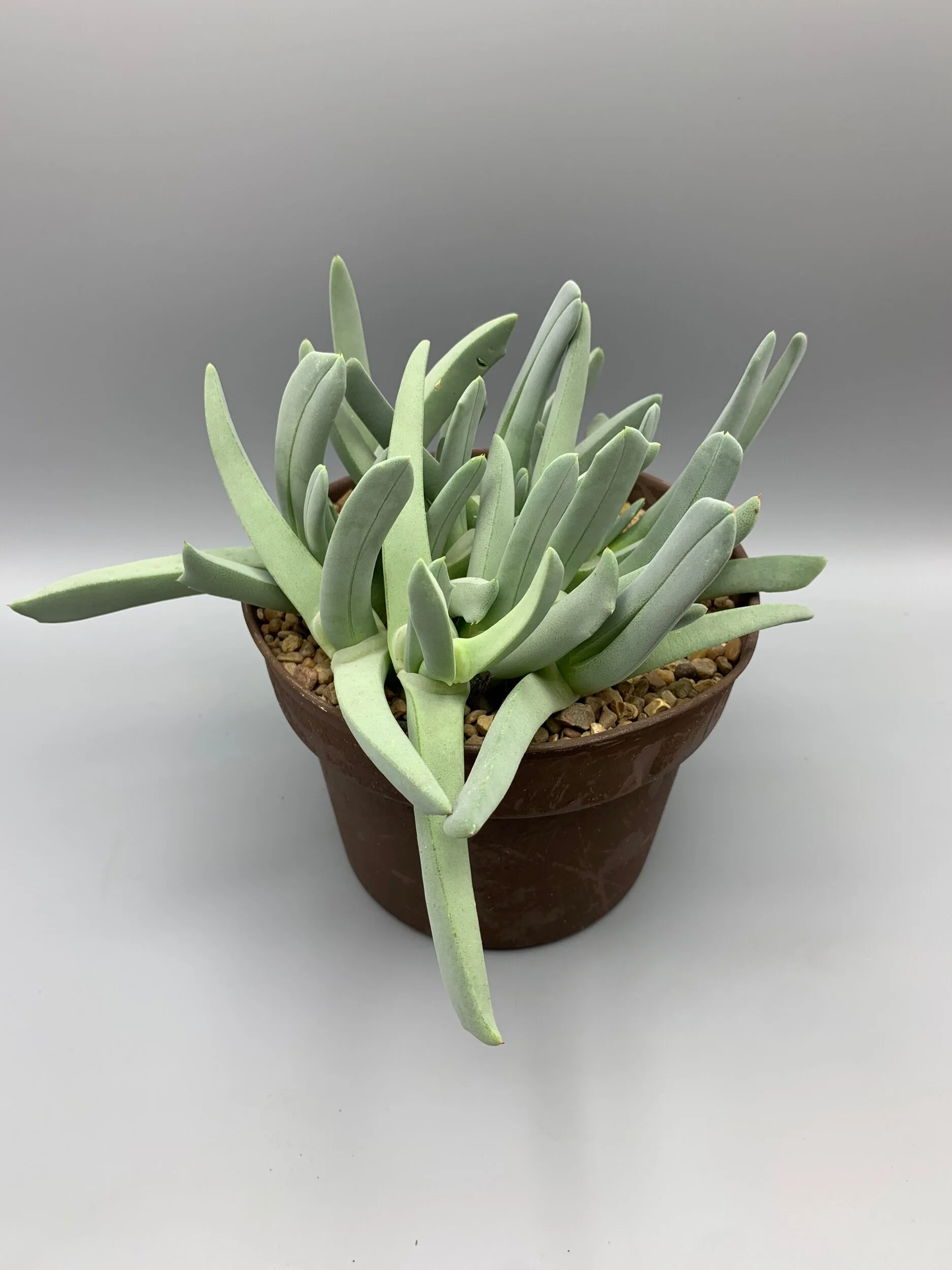 4B984E8F-5766-4A83-92EB-49756060AA53