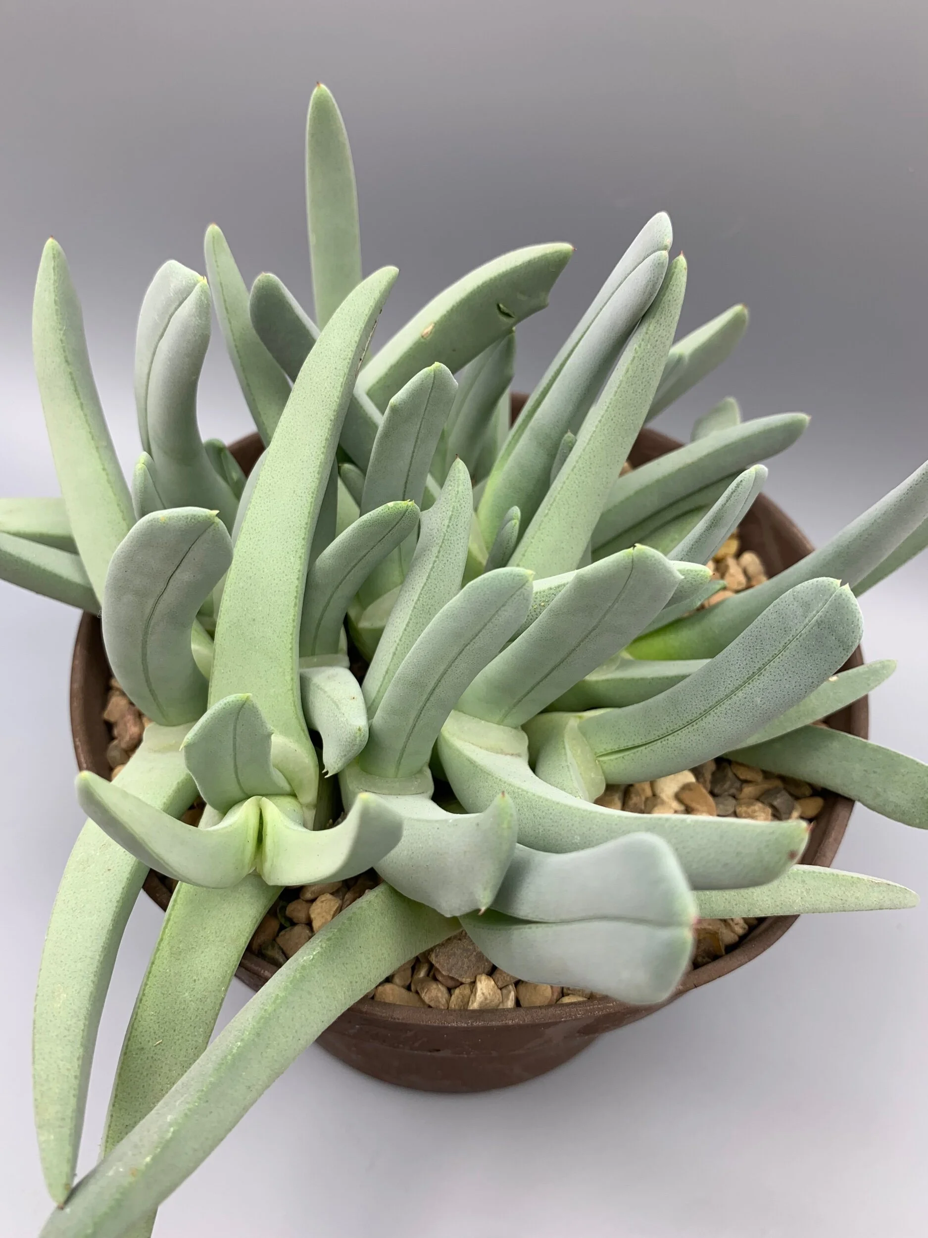 EEF65BBA-A20B-485A-B883-9B04EC9FF47B