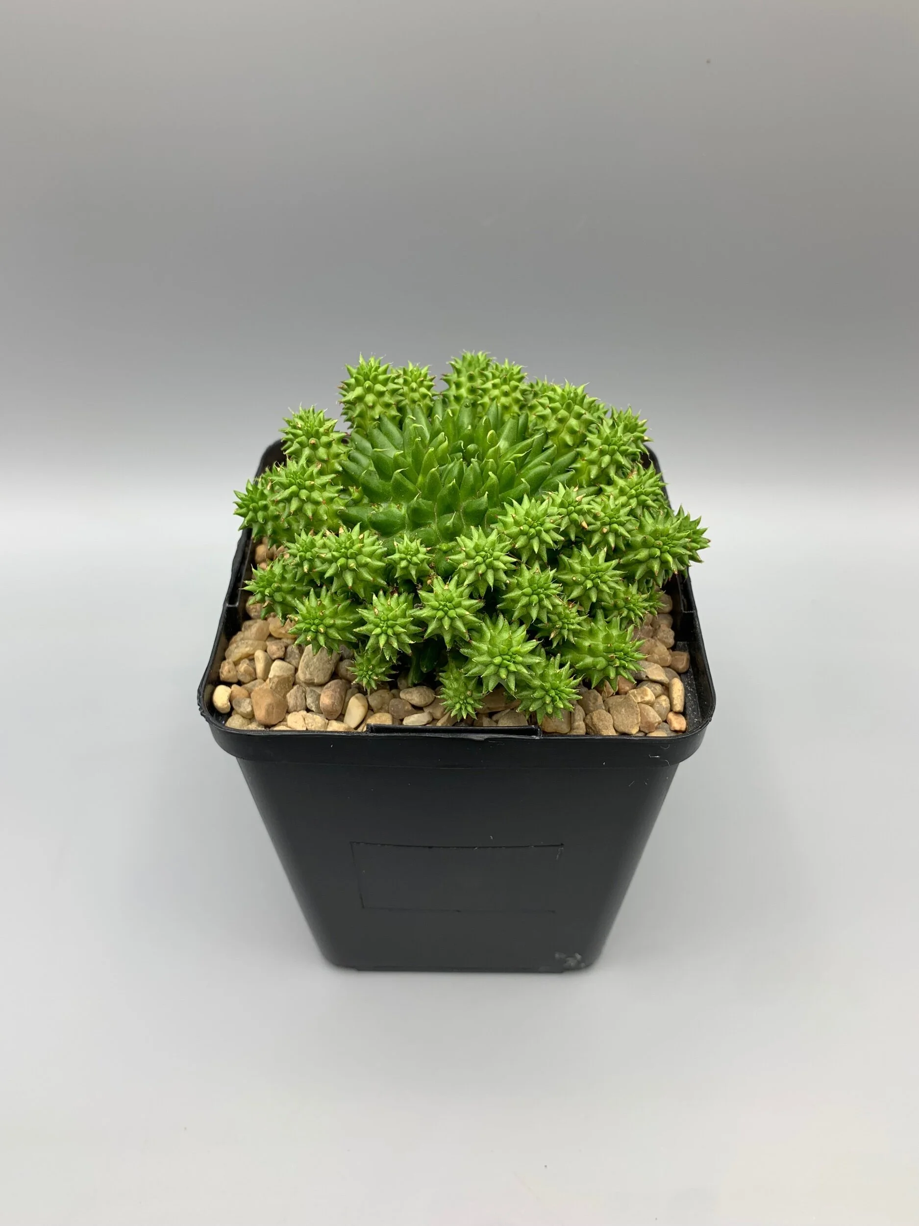 E67107BD-A37F-470A-AEFF-032CD394F31B